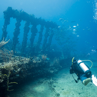 dive trips us virgin islands bvi
