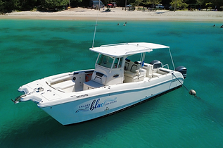 Shades of Blue Charters boat trips from Sapphire Beach Marina