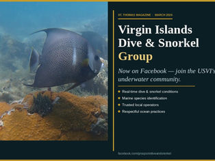 Virgin Islands Dive & Snorkel Group