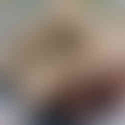 Hermit crab using conch shell as home