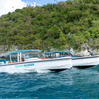 Day Charters St. Thomas, Boat Rentals St. Thomas, Sapphire Beach Resort Boat Charters, BVI charters, Lime Out day trips