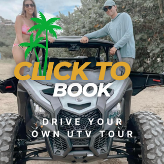 Drive Your Own UTV St Thomas