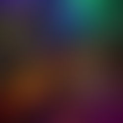 Island Style Celebrations:Your 2025 Guide to Christmas & New Year’s Eve in the Virgin Islands