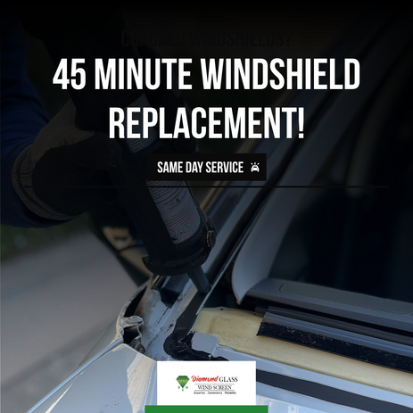 original-CE27A41E-F3CB-43DF-BA6F-1CBF0548D8FD.jpeg (1).jpeg