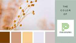 THE COLOR OF PARADISIMO