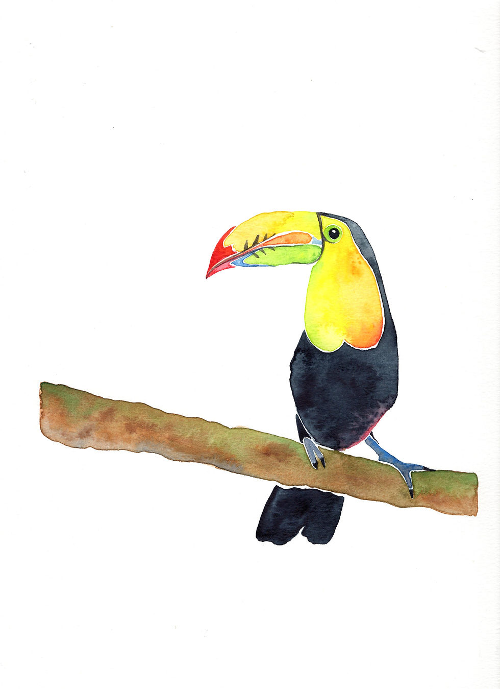 Water color art at Green Owl Art Studio