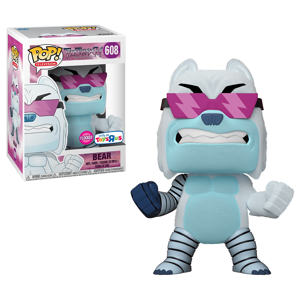 Bear #608 - Teen Titans Go! Toys R Us Exclusive