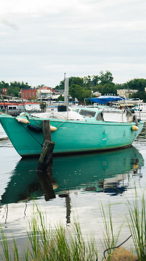 Fear in the Water: A PFAS Story