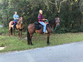 horses on trail.jpeg