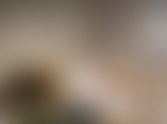 How to Keep Indoor Air Clean and Fresh at Home