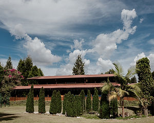 Terranova Sept 2020-14.jpg