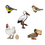 Thumbnail: Countryside Birdies Set