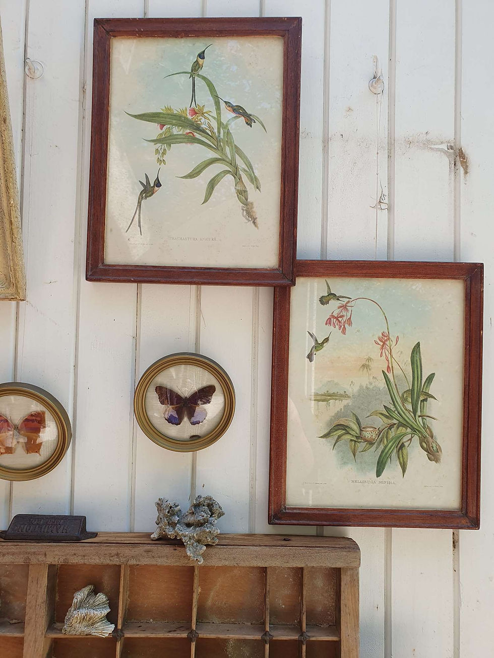 Duo de lithographies Colibris