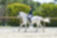 dressage maeva.jpg