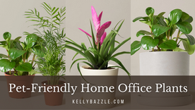 Work-from-home office plants that are safe for your pet co-workers
