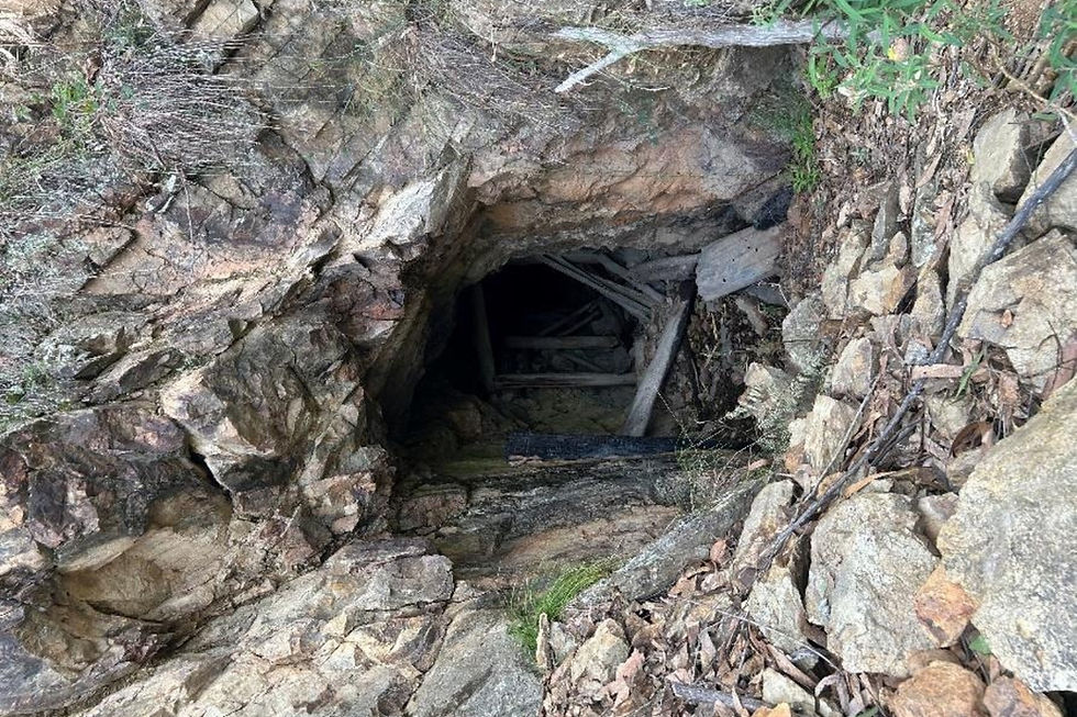 One of the many historical workings discovered at Thunderbird Resources’ Bear Hill and Butchers Reef prospects, within its Kookabookra project in northeastern New South Wales, from publicly available LiDAR survey data. Credit: File