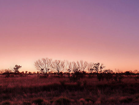 Litchfield Minerals jags rich silver hit as NT drill campaign wraps up