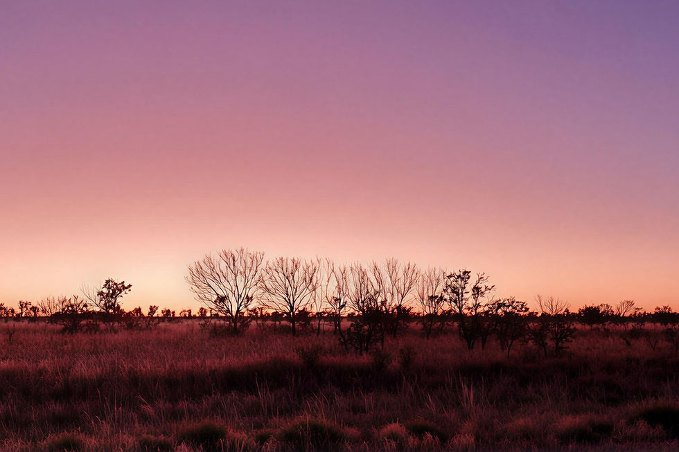 Litchfield Minerals jags rich silver hit as NT drill campaign wraps up