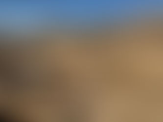 Dateline Resources closes in on US gold feasibility study as bullion soars