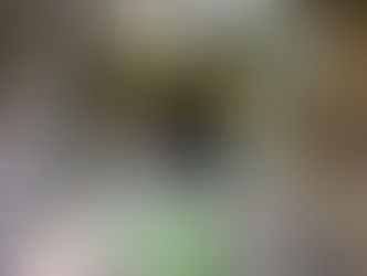 Middle Island Resources outlines big lead-zinc target at fresh Serbian play