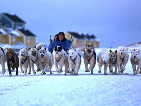 Dalaroo Metals launches exploration blitz on epic Greenland rare earths play