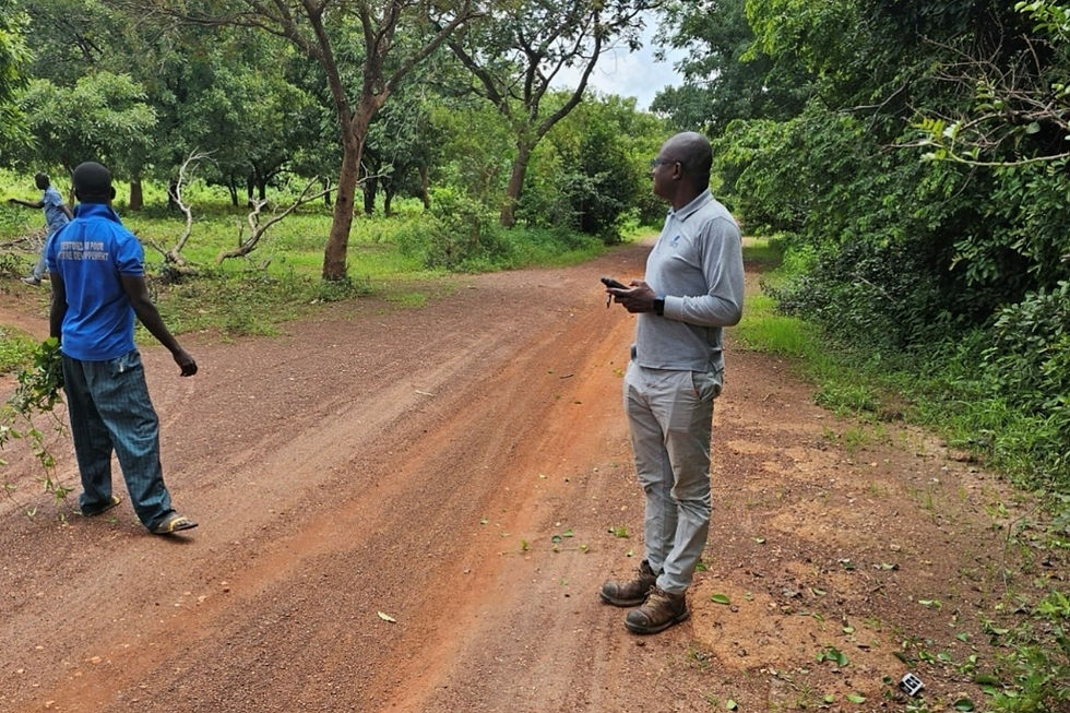 Castle Minerals’ geologists conducting reconnaissance across the highly prospective Niellé gold project, highlighting ease of access to the prospective site. Credit: File