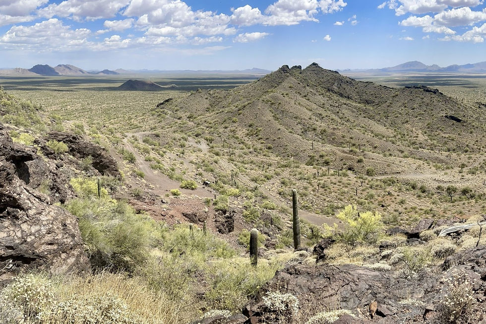 Drilling underway at Advance Metals’ Yoquivo gold project in Mexico’s world-class Sierra Madre belt.
