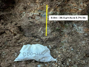 Siren Gold soils light up new gold–antimony system in New Zealand