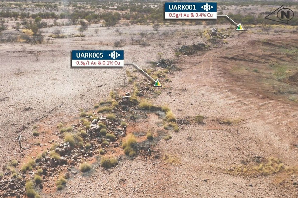 Outcropping copper and gold mineralisation at Taruga Minerals Gascoyne leases with no historic records and completely untouched by modern exploration. Credit: File