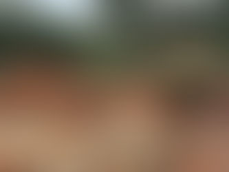 Dalaroo Metals lights up 2km Côte d’Ivoire gold zone