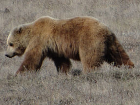 88 Energy lands prime Alaskan oil acreage