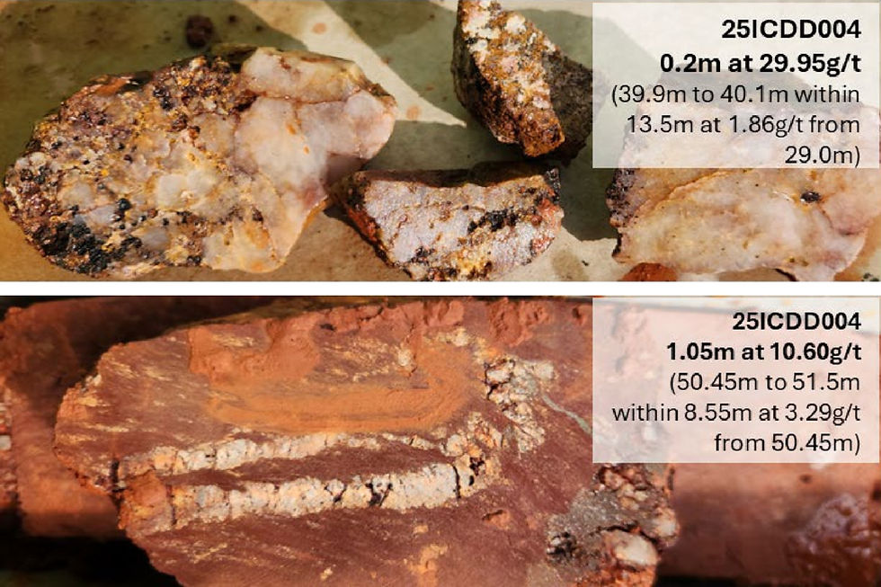 Neometals HQ3 diamond drill core exposes several examples of shearing and high-grade veining, including the pictured core that delivered 1.05 metres assaying 10.6g/t gold from 50.45m depth. Credit: File.