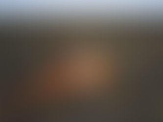 Ardea Resources WA nickel project grabs Japanese-US attention