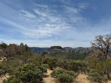 Advance Metals clocks monster 33Moz maiden silver resource in Mexico