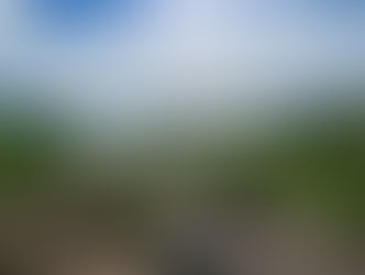 Thunderbird Resources hands Canadian uranium reins to Mustang in JV deal