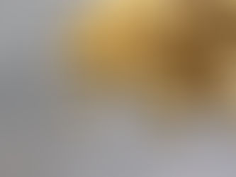 Strickland to wheel in big rigs after extending Pilbara strike