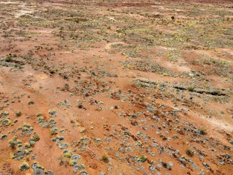 Taruga Minerals geochemistry strikes gold at Gascoyne polymetallic play