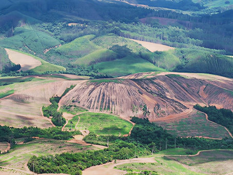 MetalsGrove Mining sharpens focus on major Côte d’Ivoire gold corridor
