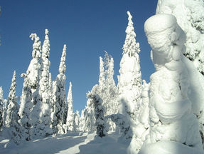 Latitude 66 launches scoping study as Finnish gold assays shine