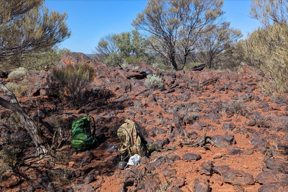 High-grade hematite outcrop at Alchemy Resources’ Valley Bore iron ore project, Western Australia. Credit: File