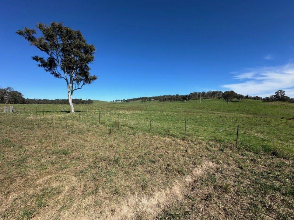 Thunderbird Resources launches NSW project antimony exploration