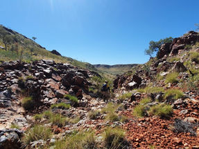 Novo Resources, De Grey to march forward with WA gold partnership