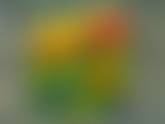 Litchfield Minerals hunts for hidden copper in NT with geophysics push