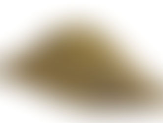 Infinity Mining nabs $2M to lock in eastern copper-gold grab