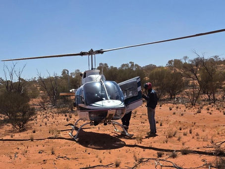 Soil tests lift Whitebark Energy SA gas, hydrogen and helium gas play