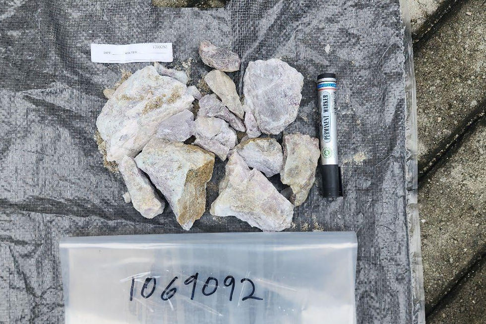 Lithium spodumene in samples at Chariot Resources’ Fonlo and Iganna lithium projects in Nigeria. Credit: File