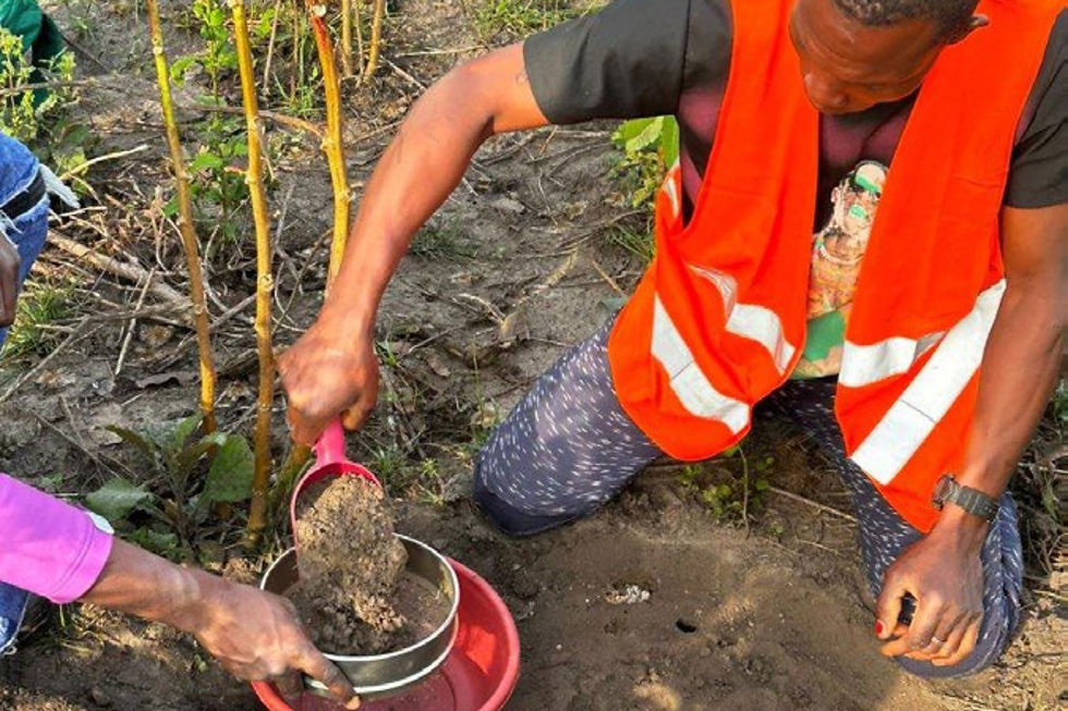 MetalsGrove Mining sharpens West African gold hunt with terrain mapping