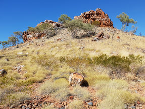 King River Resources to test encouraging IOCG copper-gold targets in NT