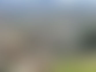 Osmond Resources eyes downstream prize in EU minerals push