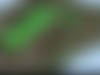 Old dumps deliver new gold for Kaiser Reef in Victoria